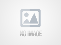 重庆到法国铁运专线-铁路双清包税到门